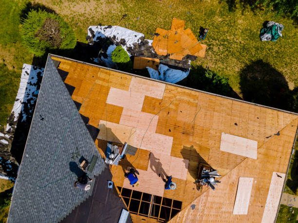 Best Roof Gutter Cleaning  in Cortland West, NY